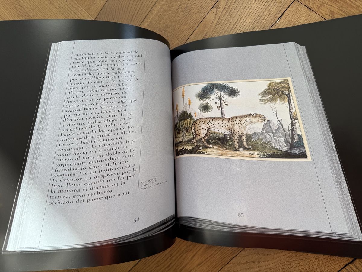 Livres: Franco Maria Ricci - Labyrinth der Zeichen, Kunst Buch – D'occasion à Ennetbaden par mapa05 8