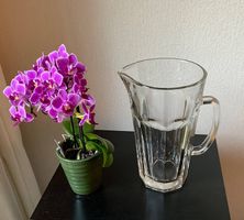 Massiver Wasserkrug aus Glas
