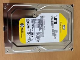 WD 1TB SATA Perfettamente Funzionante!