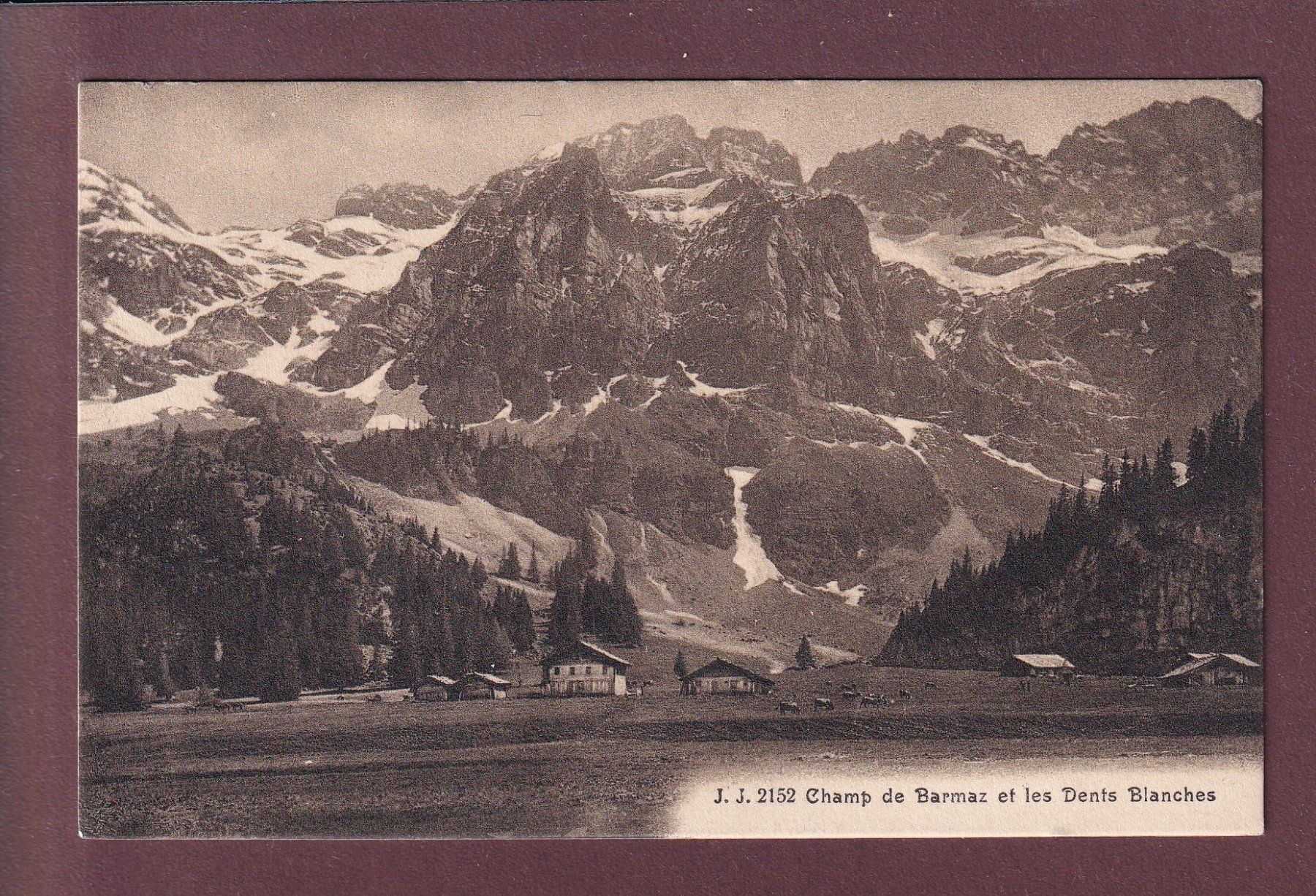 Ansichtskarten: Champ de BARMAZ - Dents Blanches - 1917 – Gebraucht aus Pully von nicecards