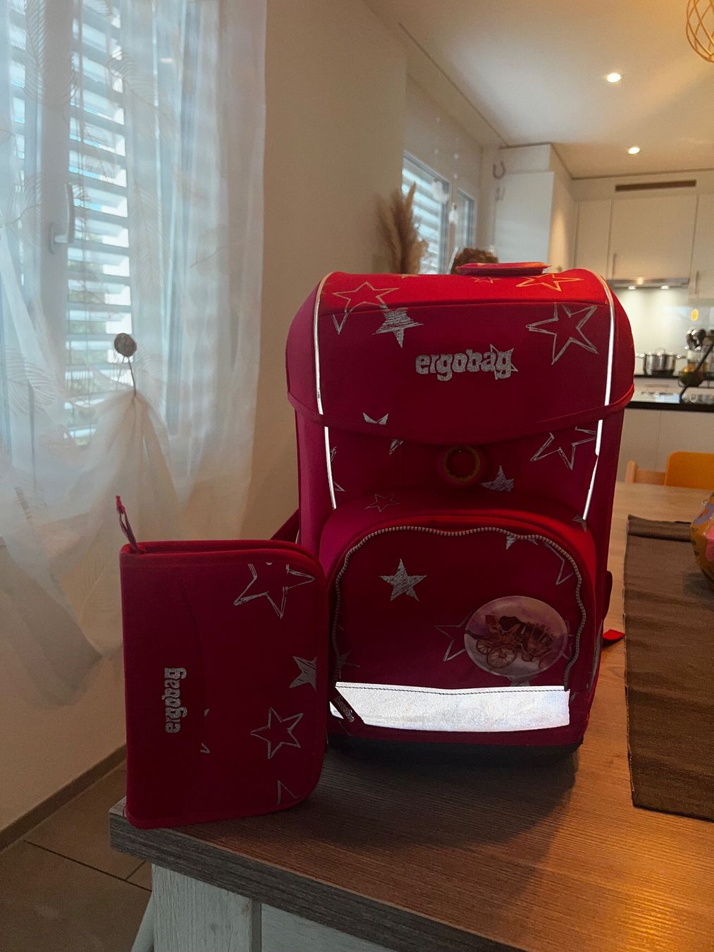 Ergobag Kindertaschen: Ergobag Schulranzen – Gebraucht aus Schübelbach von rosaria17 1
