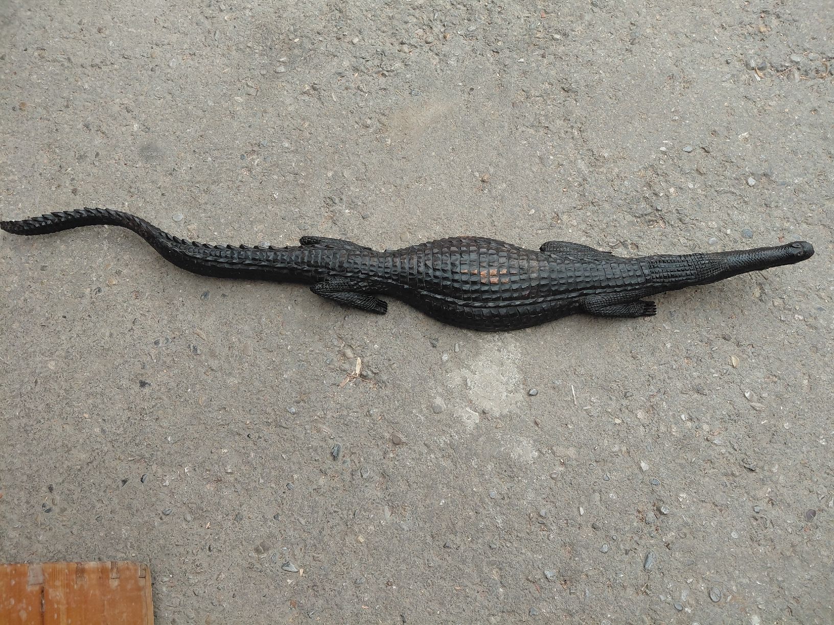 Figuren: Krokodil aus Ebenholz – Gebraucht aus Ennetbühl von Marlon79 2