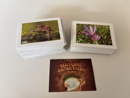 Migros Nature Detectives Mania Sticker