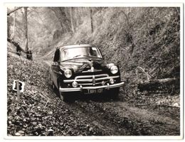 Fotografie Brian Sheldon, Streatham, Aut