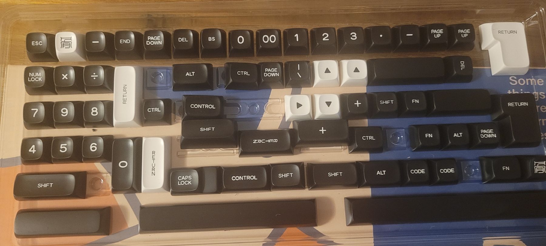 Tastiere: Keycaps set PGA Profile ABS Double Shot – Usato da Urdorf venduto da ign_28hl 1