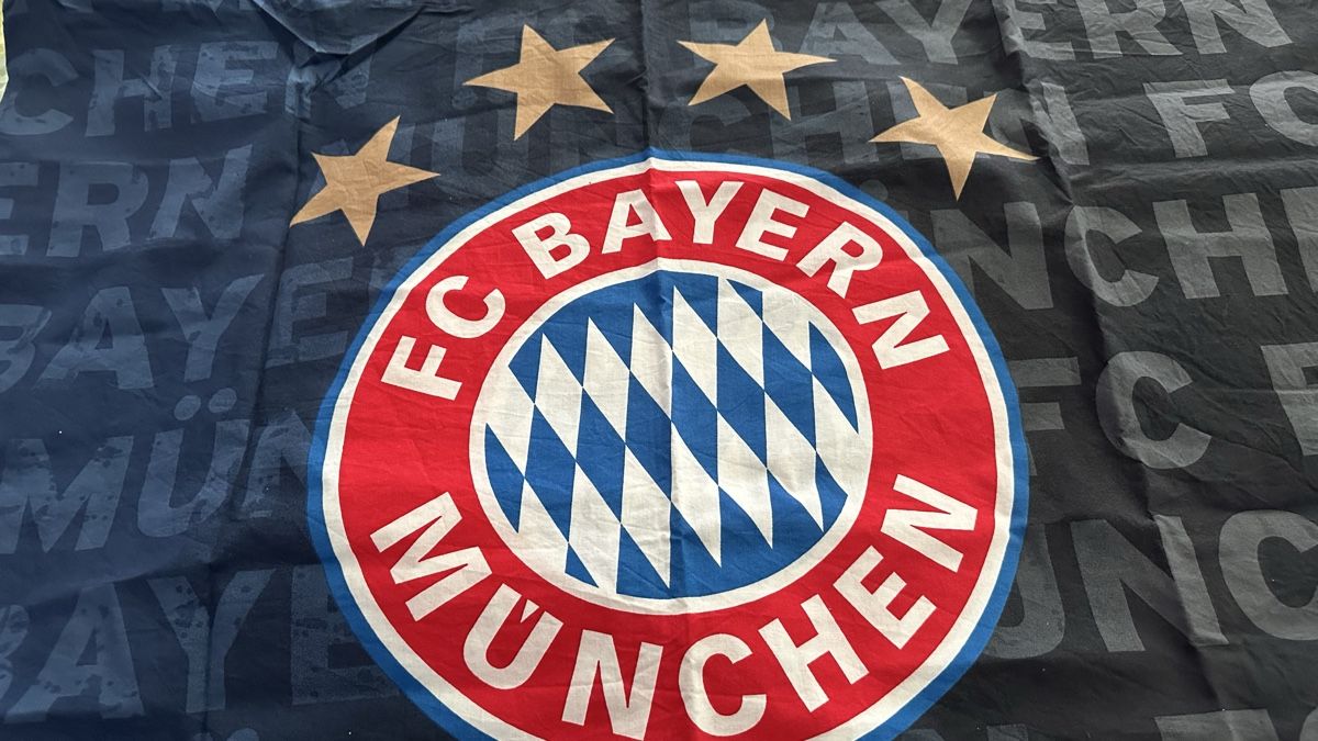 Biancheria da letto: FC Bayern München Bettwäsche mit Sternen – Usato da Krauchthal venduto da Kiddy32 1