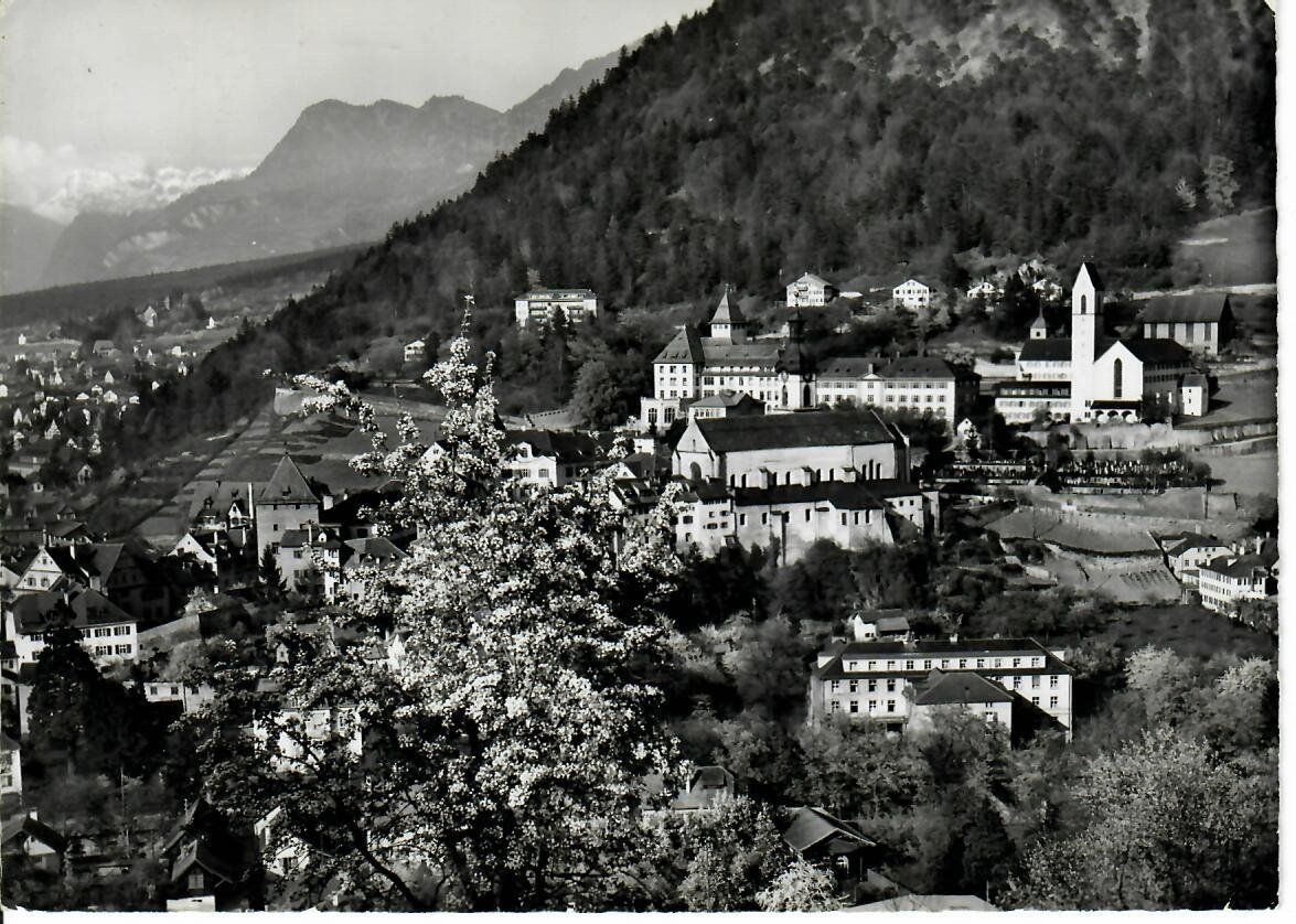 Cartoline postali: Chur Hof – Usato da Hochdorf venduto da Ziegel-16