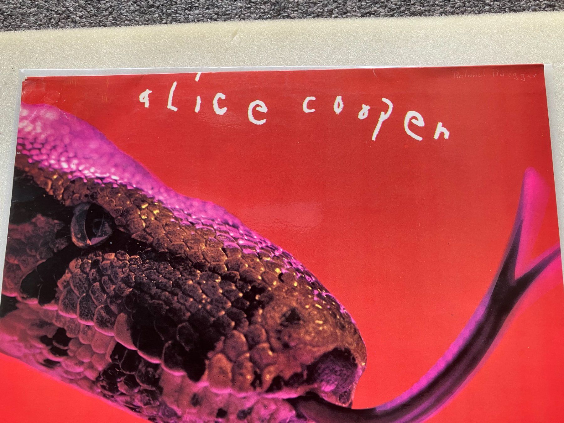 Dischi in vinile: Alice Cooper – Usato da Aarwangen venduto da Jukebox3 1