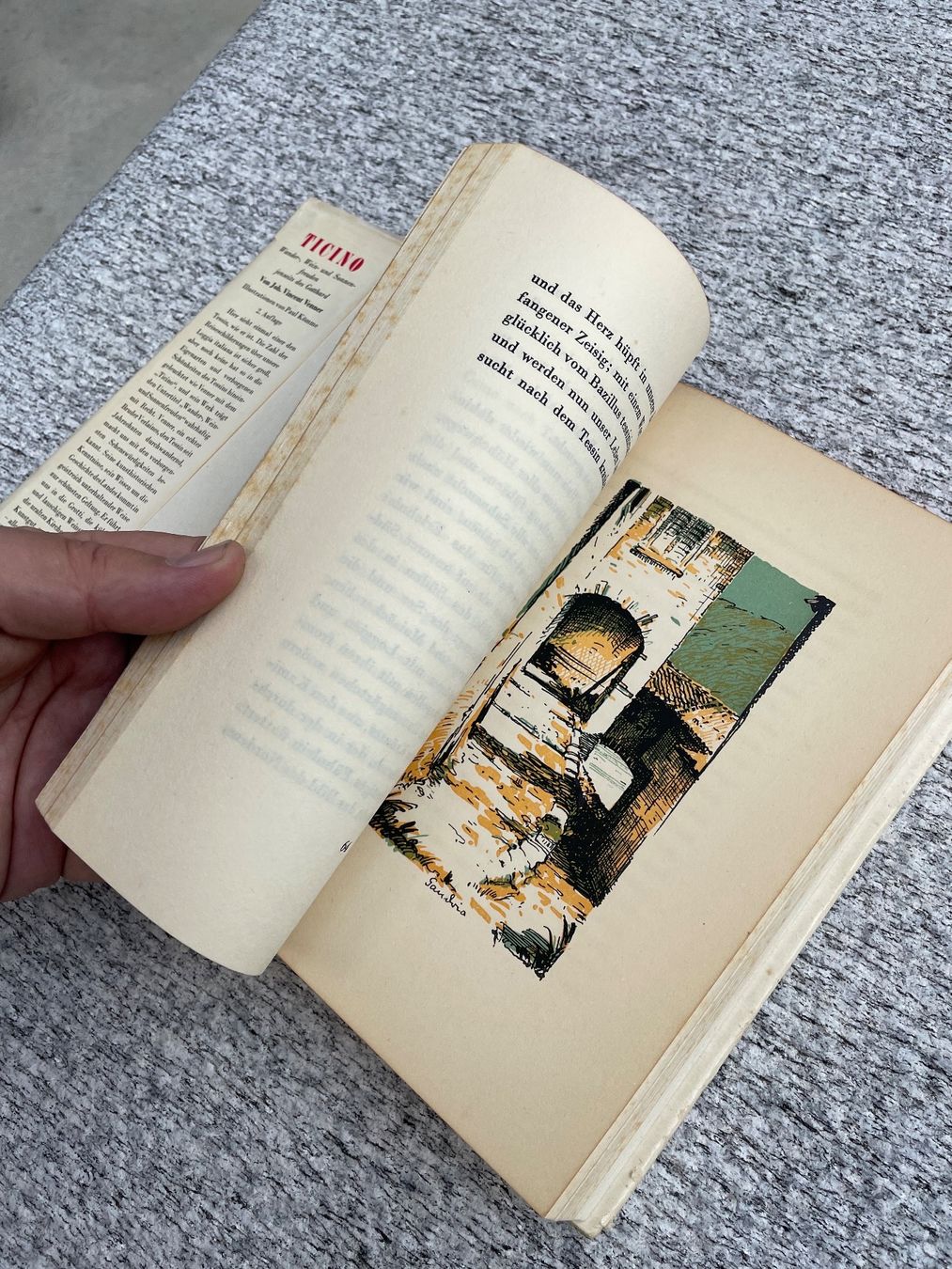 Libri: Ticino Vintage book buch – Usato da Chiasso venduto da Carrara-Modellismo 7