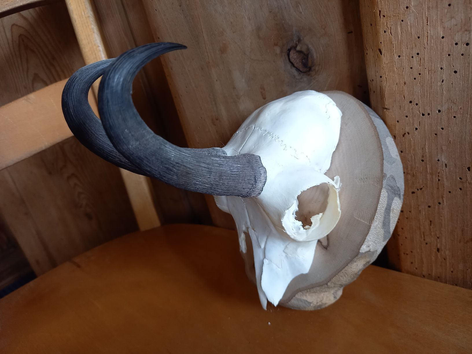 Altre raccolte & rarità: Schöne Gams -  Trophäe auf  Holzsockel – Usato da Galgenen venduto da Allerlei8854 1