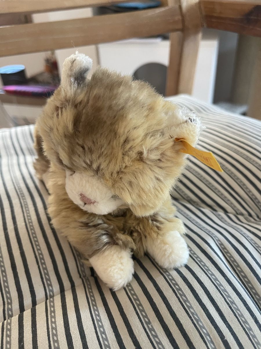 Steiff Spielzeuge: Steiff Katze Lucy – Gebraucht aus Meierskappel von suesle 1