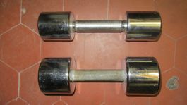 Hanteln  1 Stück 7kg 1 Stück 5kg