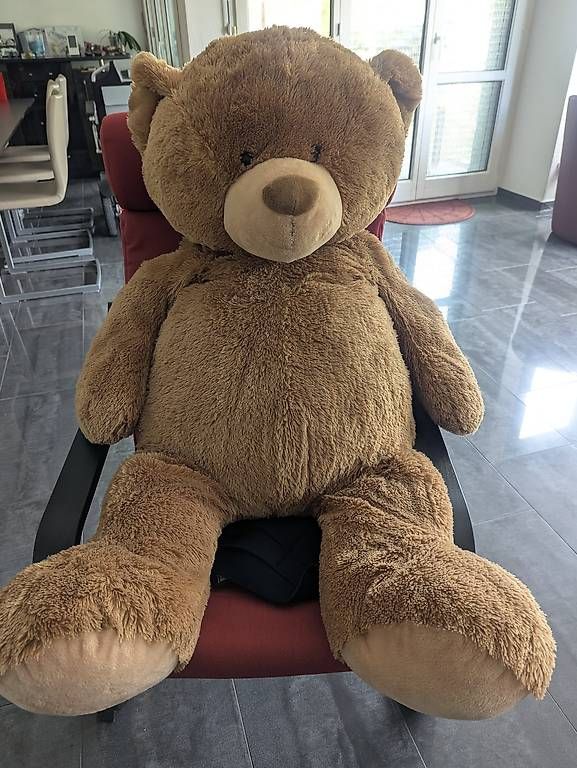 Giocattoli: Sauberer, riesiger Teddy sucht ein neues Zuhause:) – Usato da Ennetmoos venduto da Manugabriel
