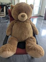 Sauberer, riesiger Teddy sucht ein neues Zuhause:)