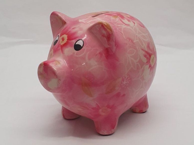 Tirelires: Sparschwein – Neuf (Voir description) à Ehrendingen par Avotis