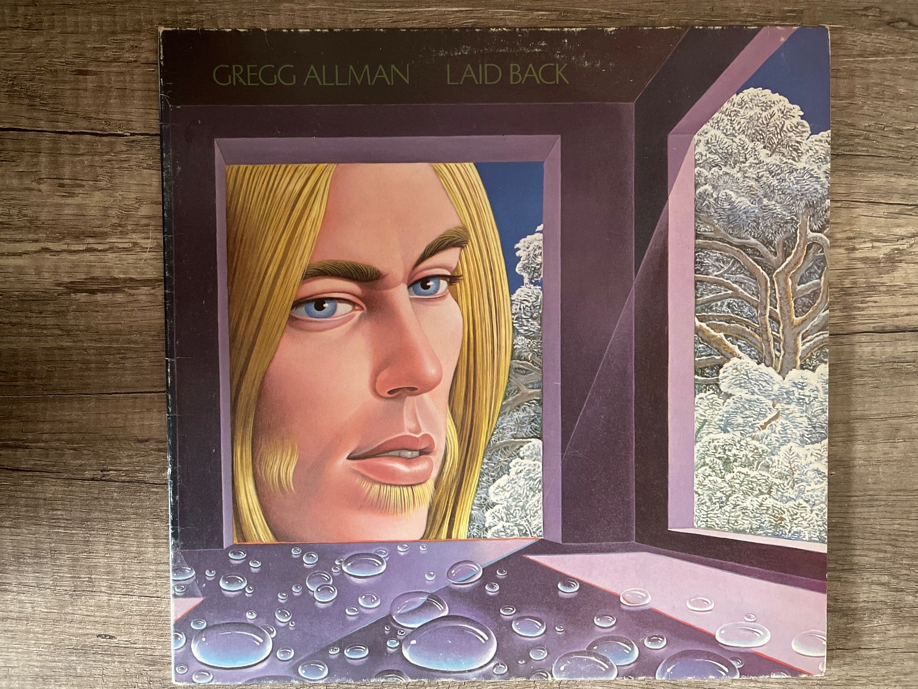 Dischi in vinile: A585/Gregg Allman - Laid Back – Usato da Frutigen venduto da Philippe_jsp