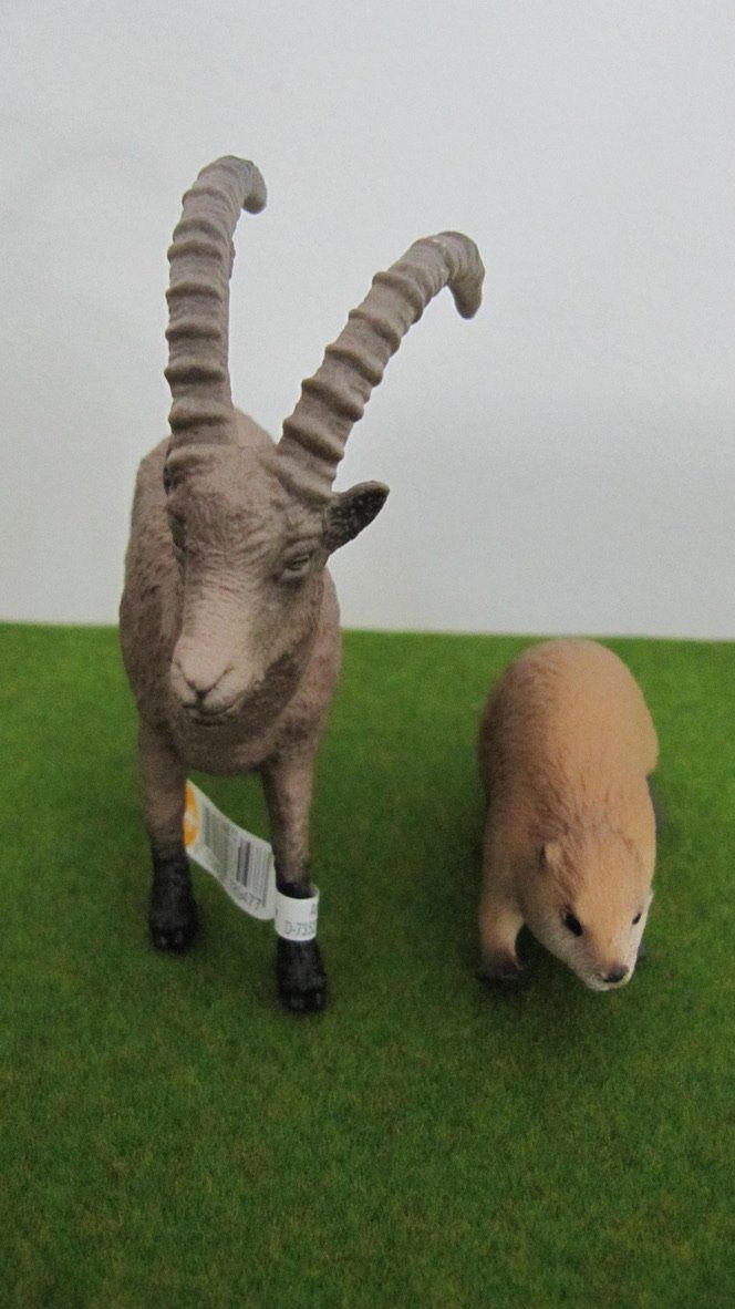 Spielzeuge: Schleich  Steinbock und Biber, neuwertig – Neu (gemäss Beschreibung) aus Brunnen von Kiwiland1 3