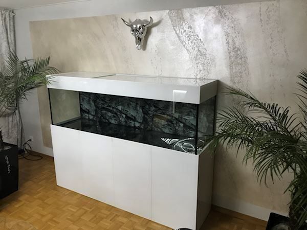 Acquari: Hochglanz Aquarium – Nuovo (secondo la descrizione) da Berikon venduto da fischundart 7