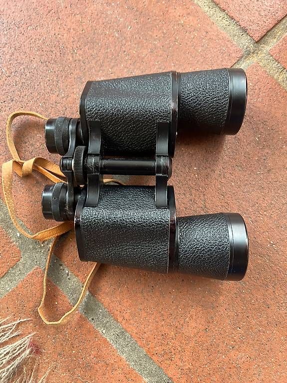 Champion Binocoli: Fernglas Champion 10x50 - – Usato da Zuzgen venduto da Astrid2004 2