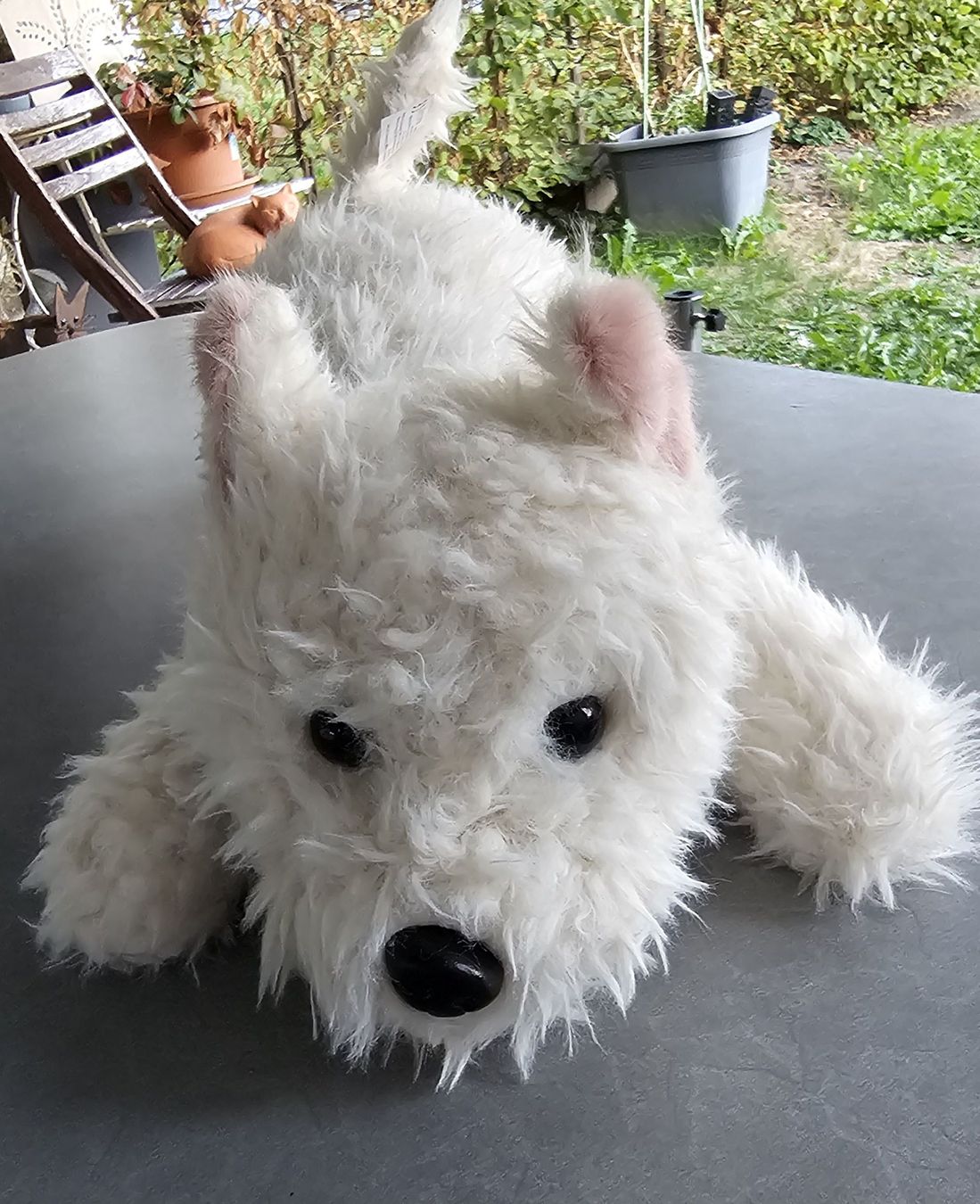 Jouets: Plüschhund, neu – Neuf (Voir description) à Grosshöchstetten par Chaotik-Reptil