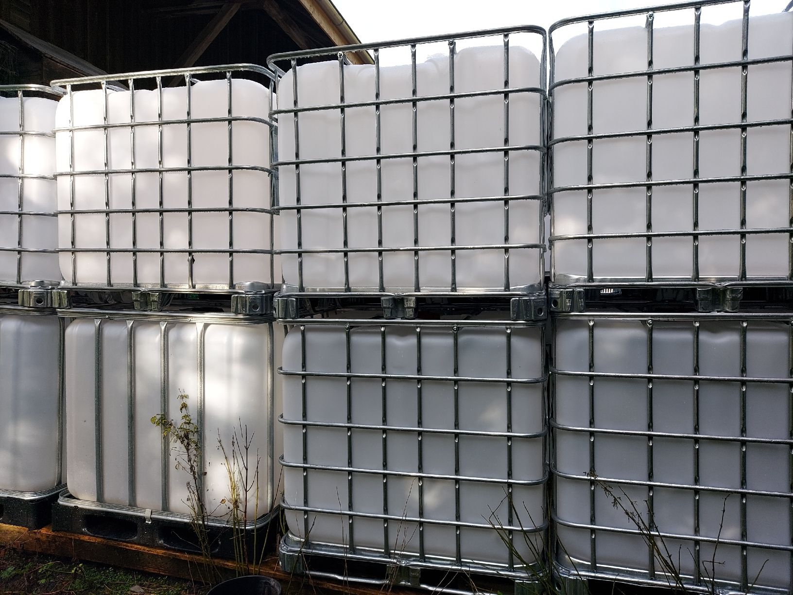 Contenitori edile: IBC Container / Wassertanks – Usato da Wuppenau venduto da Gastro.Wuppenau 3