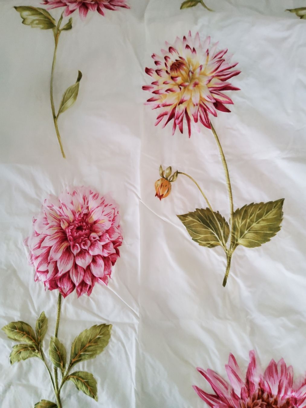 Tende: Duschvorhang Textil "Bloom Craft Home" Chrysanthemen-Muster – Usato da Wettingen venduto da ros_s7sq 2