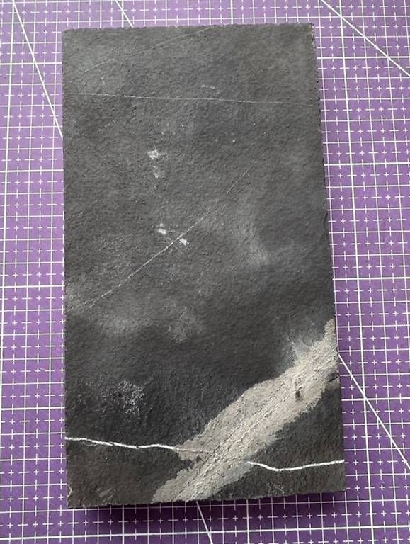 Fossili: Keichousaurus Fossil – Usato da Abtwil AG venduto da dca_gch7 4