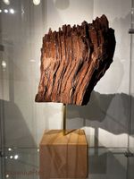 Versteinertes/Verkieseltes Holz (Mammutbaum) ca. 35Mio Jahre
