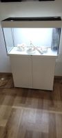 Aquarium Juwel 125