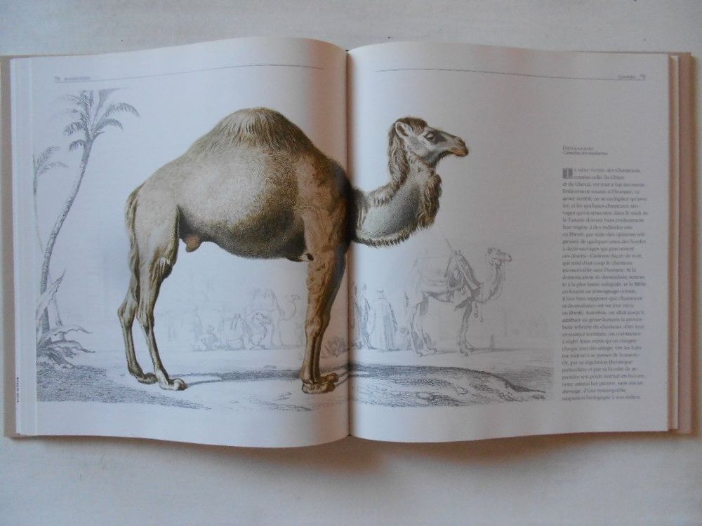 LES ANMAUX VUS PAR LES GRANDS MAITRES Kaufen auf Ricardo