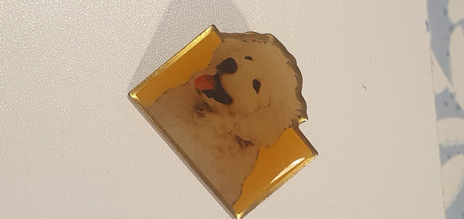 Placchette & Badge: Pin's Chien PAL pedigree – Usato da St-Barthélemy VD venduto da titeuf5 2