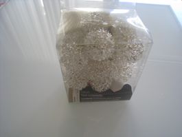 Neuf Lampe