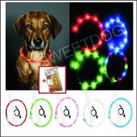 +LED Halsband Visio Light - LED Leuchtschlauch Hund