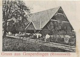 Römerswil LU Gosperdingen 3 Bauernhöfe 1908 gut erhalten rar