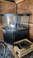 Aquarium Juwel Trigon 350 mit Untermöbel