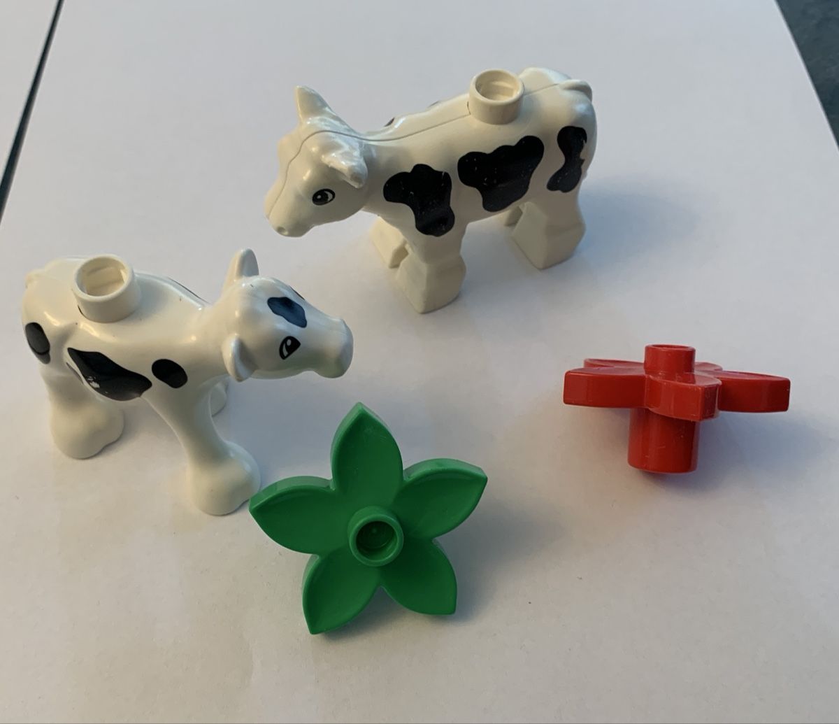 Giocattoli: Duplo Lego – Usato da Burgdorf venduto da kunterbunts01