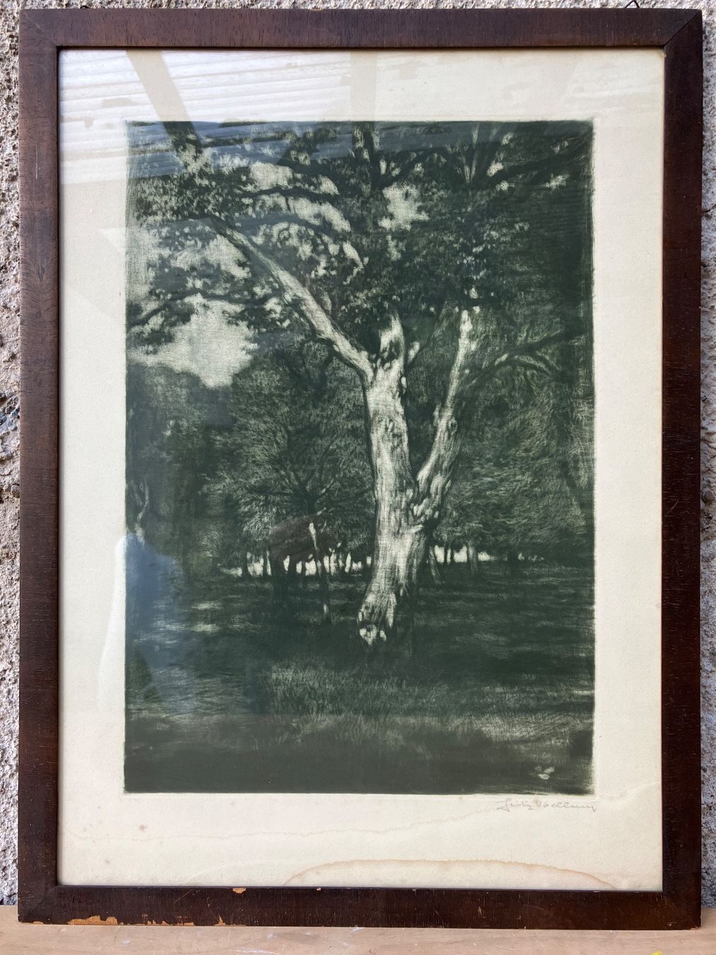 Foto & Immagini: Radierung v. Fritz Volley – Usato da Wetzikon ZH venduto da artefix