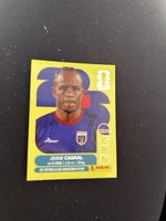 Panini CPV 16