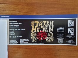 Die Toten Hosen Ticket Stehplatz Zürich