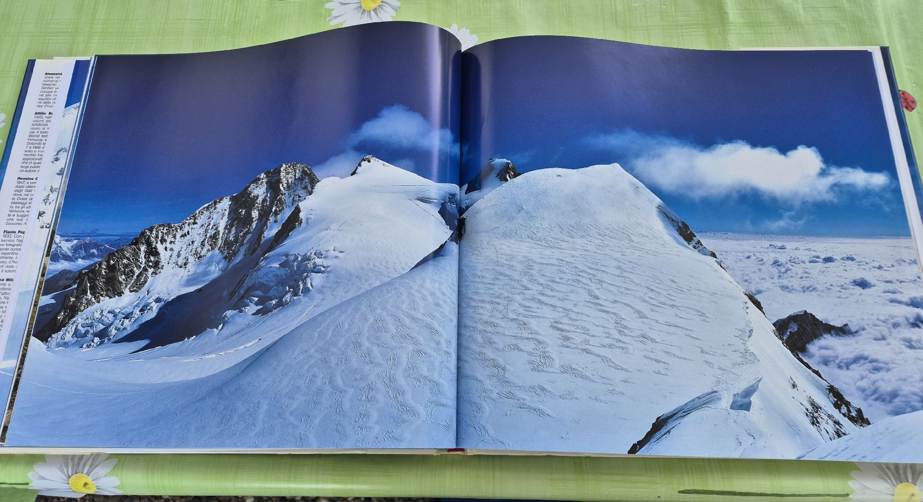 Libri: Bellissimo libro " Le Alpi" Italiano ed inglese – Usato da Lostallo venduto da Barshei79 1