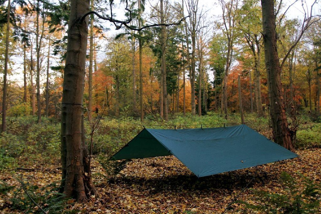 DD Hammocks Altro per Esercito: DD Hammocks Tarp 4 x 4 Oliv grün Regendach – Nuovo e nell'imballaggio originale da Tulln venduto da HaengemattenShop 4