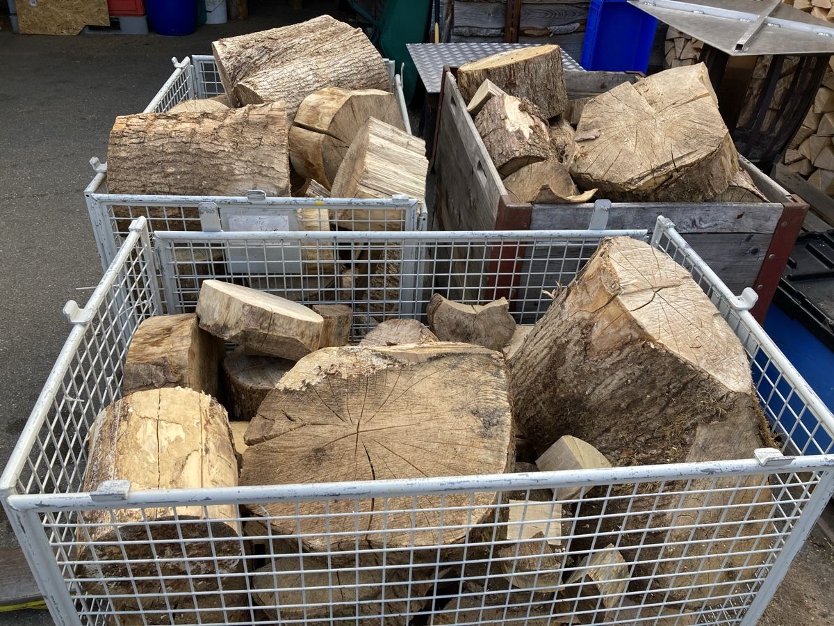Articoli in legno: Brennholz Esche Abschnittholz – Nuovo (secondo la descrizione) da Vordemwald venduto da deutz4507 1