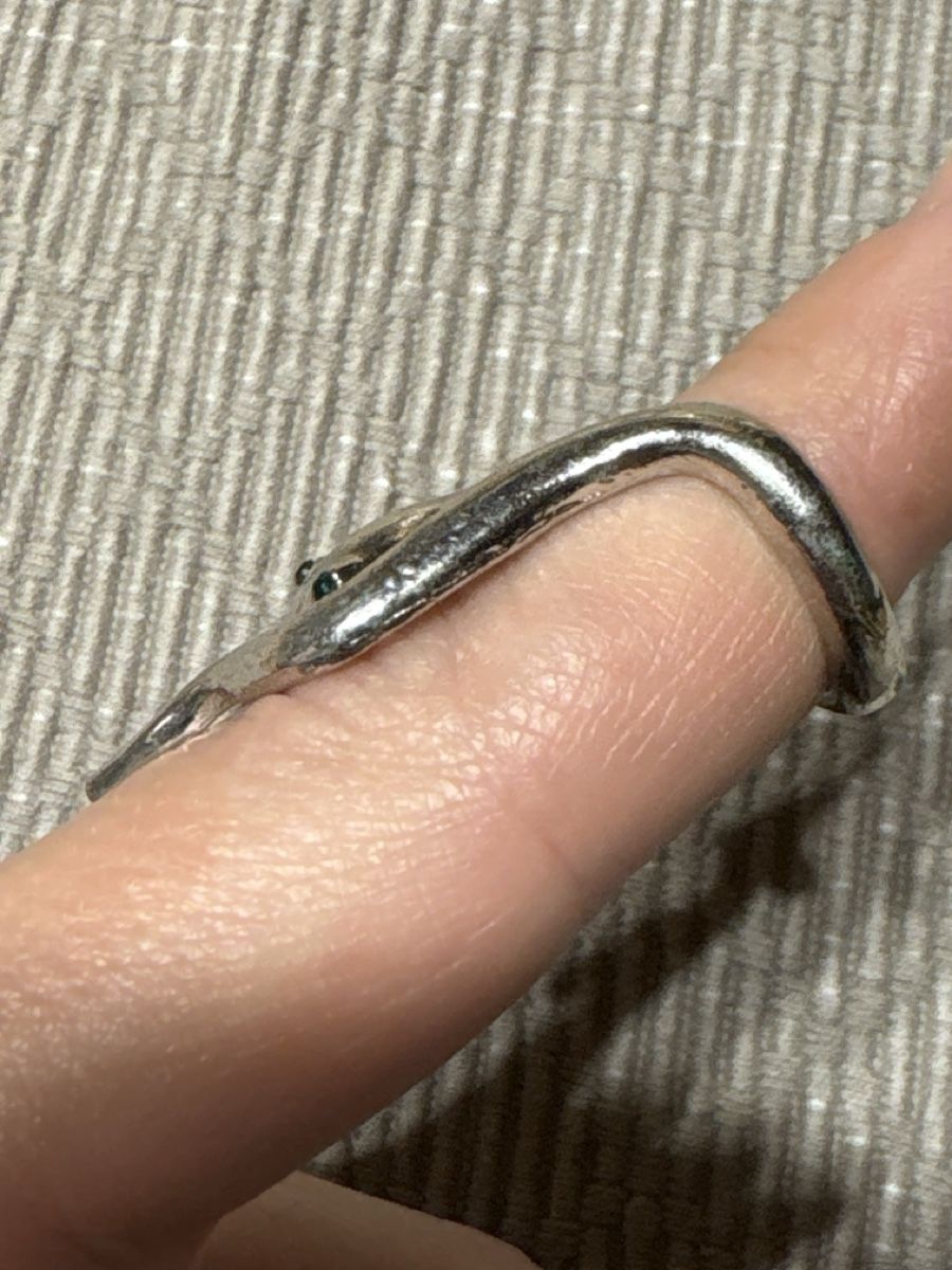 Anelli: Modeschmuck Fingerring Schlange Gr. 52 – Nuovo (secondo la descrizione) da Rümlang venduto da SchumBru10 1