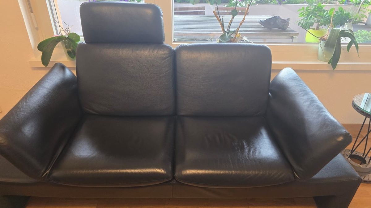 Divani: zweiteiliges Leder Sofa – Usato da Koblenz venduto da THerzog00 3