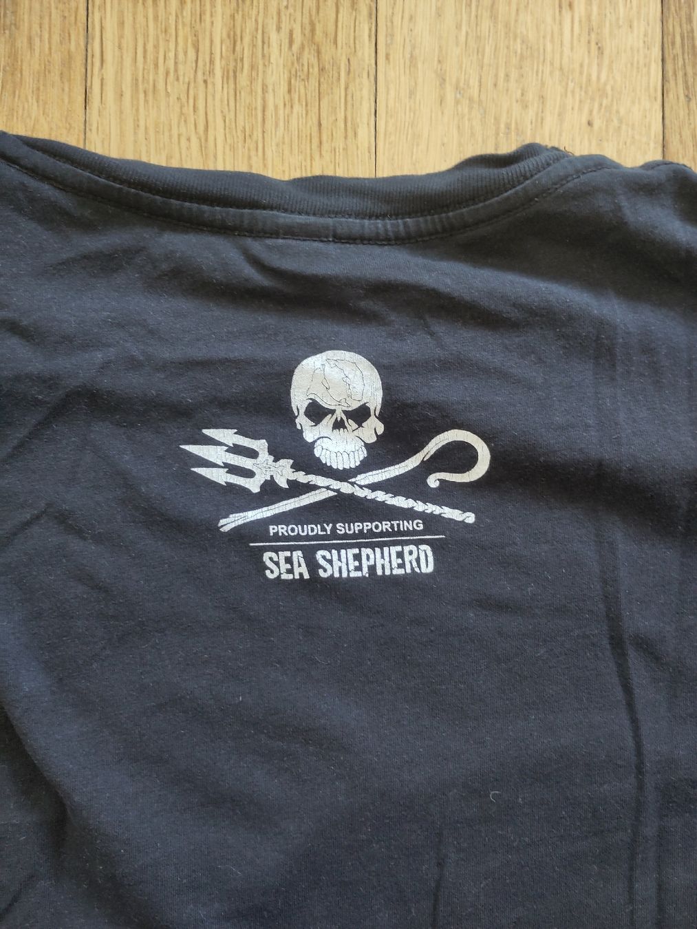 T-shirt: T-Shirt SEA SHEPHERD Grösse M – Usato da Basel venduto da Rossbollemississippi 1