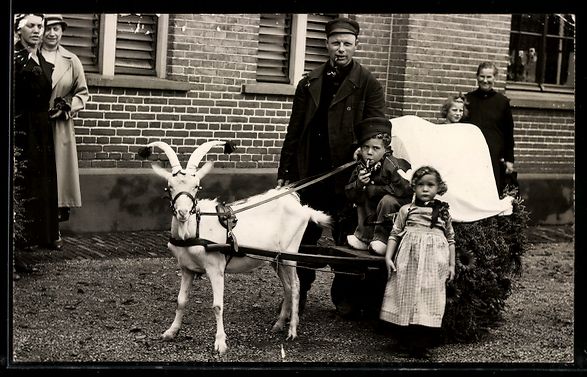 Cartes postales: Foto-AK Kleiner Junge mit Pfeife auf ein – D'occasion à Berlin par bartko-reher