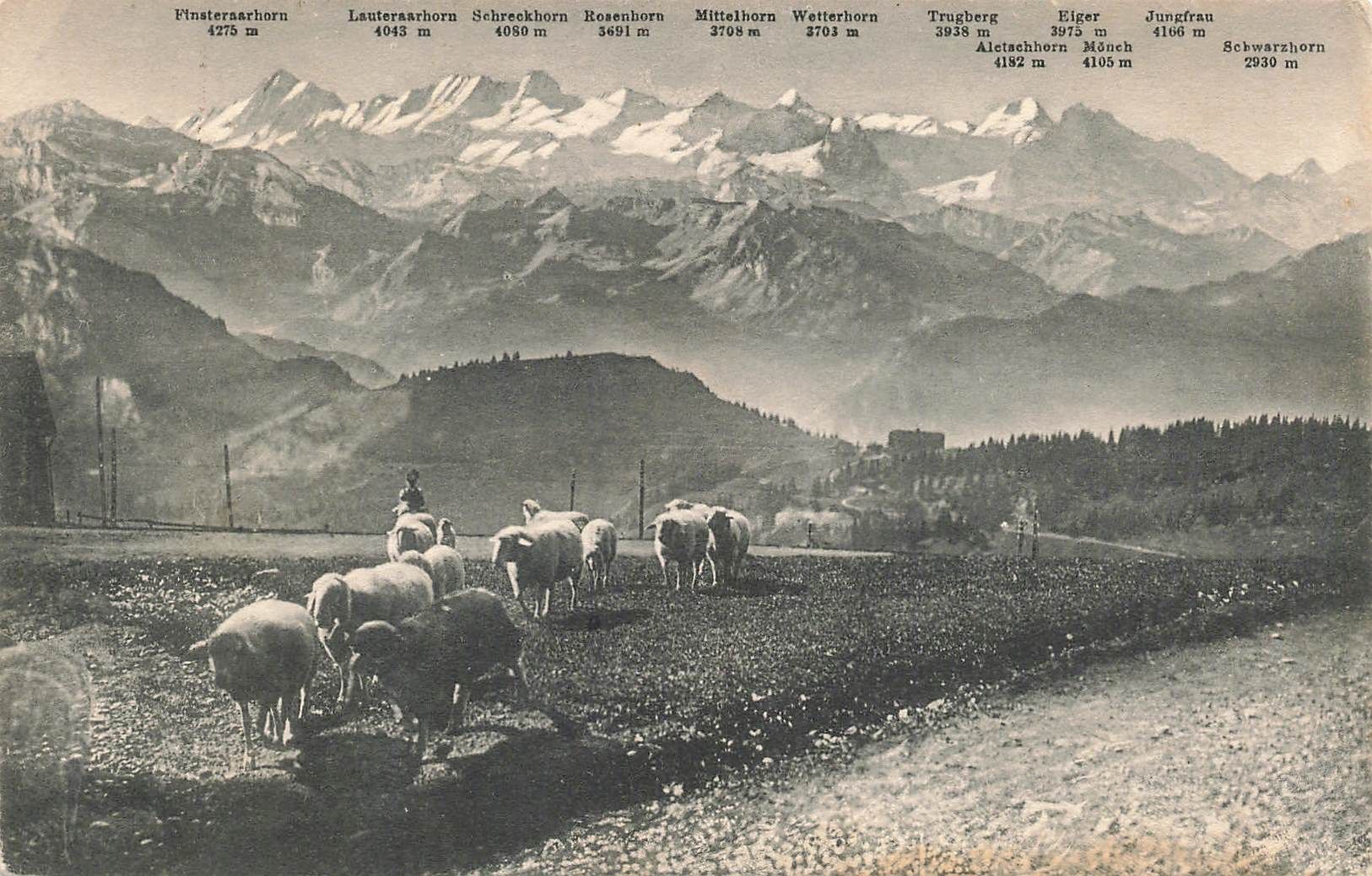 Cartoline postali: Rigi Kulm – Usato da Biasca venduto da Blenio71