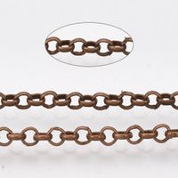 1m Kette  Jasseron 2.5x0.7mm Kupfer