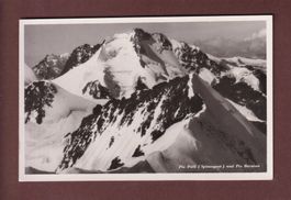 PIZ PALÜ und PIZ BERNINA