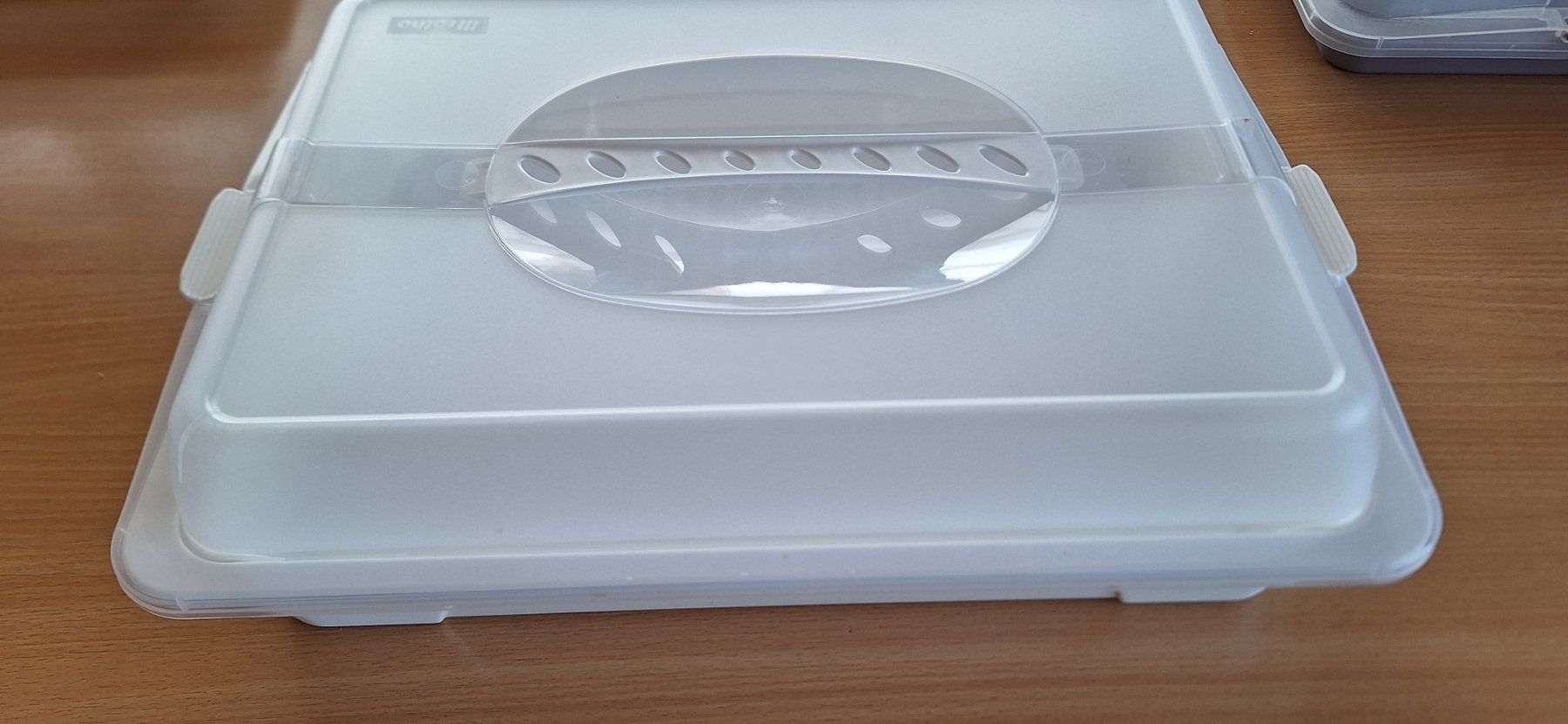 Rotho Contenitori & Simili: Rotho Kuchentransportbox – Usato da Balzers venduto da Loona7